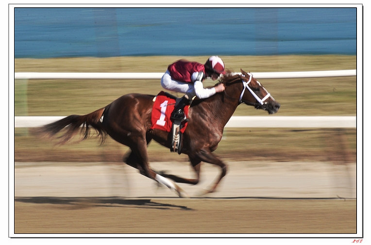 ����-10 656-1.jpg