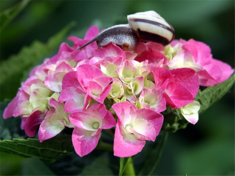 psuCAU870R0.jpg