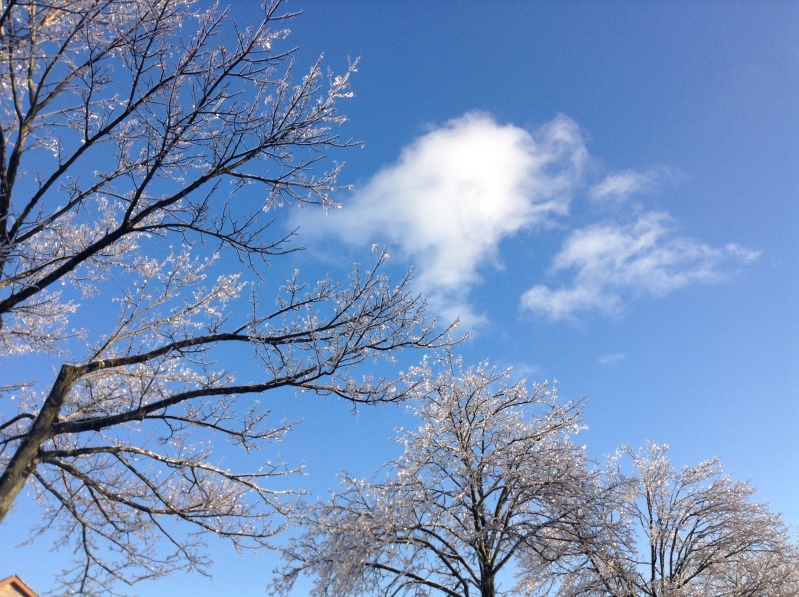 Toronto Ice Storm 2013-57.JPG