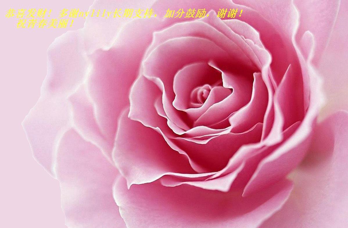 ϲ! лnylily֧֣ӷֹллףഺ.JPG