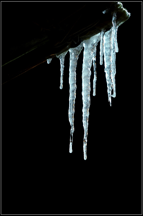 IMG_7688.JPG