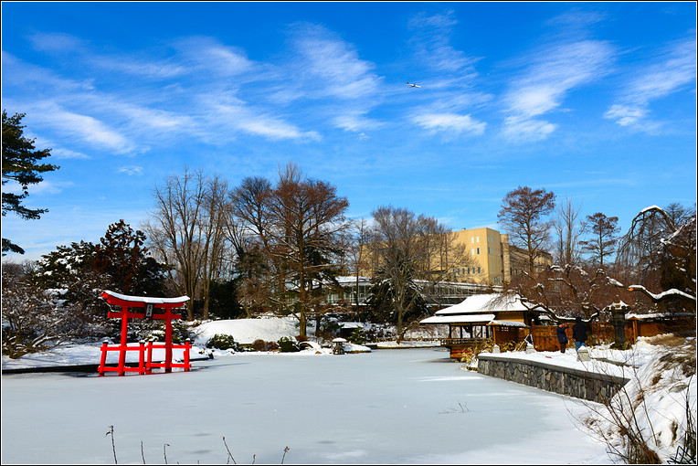 DSC_4997.jpg