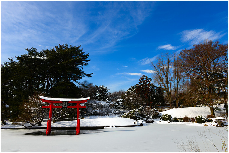 DSC_4978.jpg