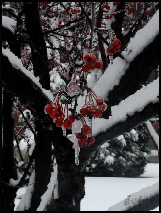 DSCN1165.jpg