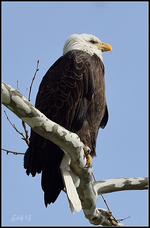 DSC_37751.jpg