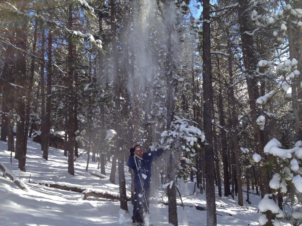 snowshower1.jpg