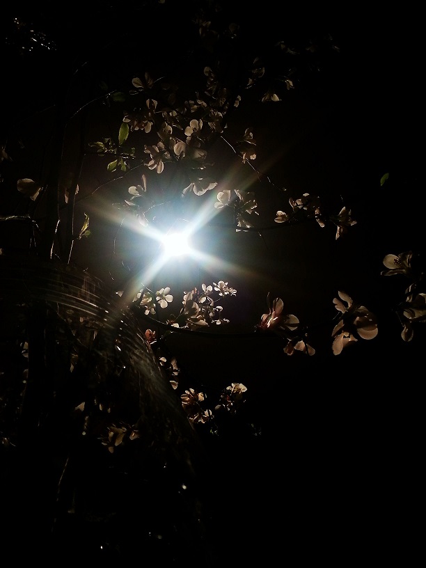 20140216_224814.jpg