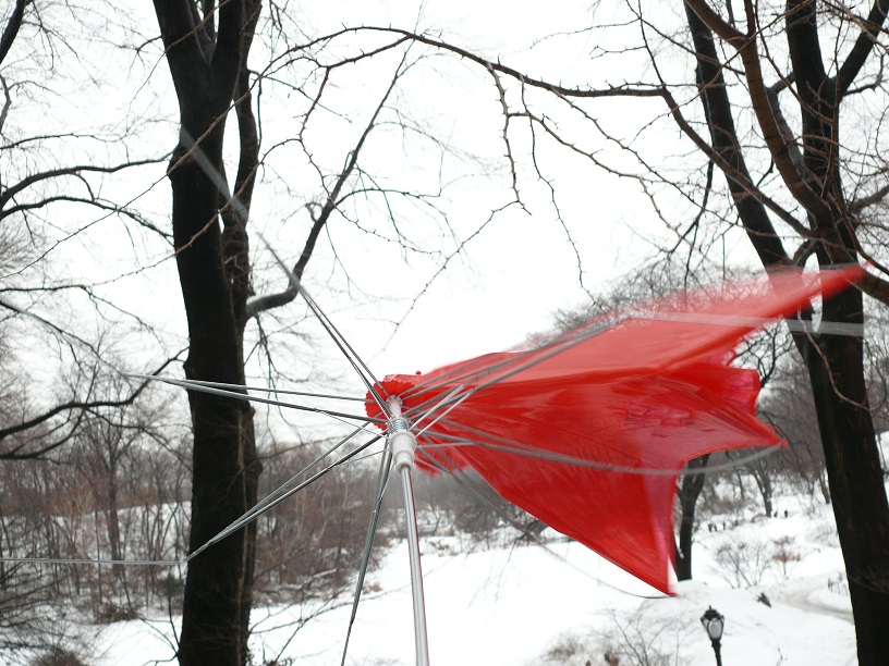 L1230880.JPG