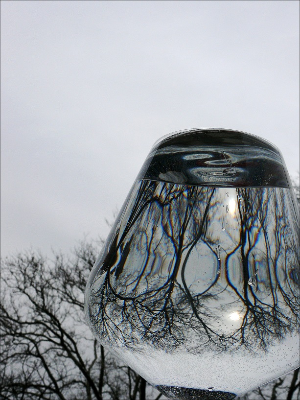 l1250098_conew2.jpg