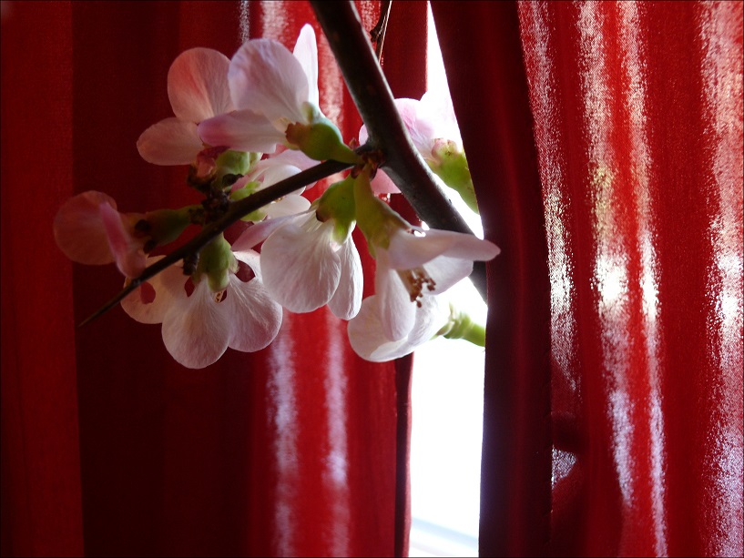 l1220701_conew1.jpg