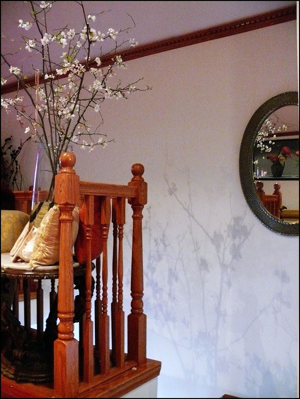 l1250164_conew1.jpg