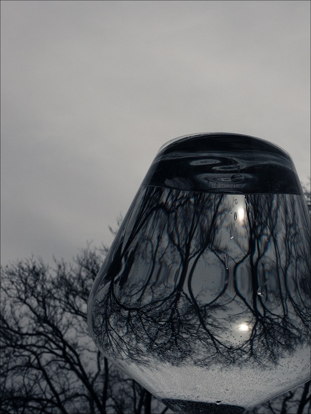 l1250098_conew1.jpg