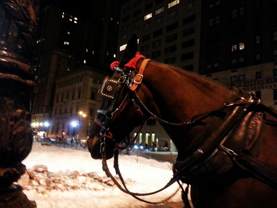 20140217_204840.jpg