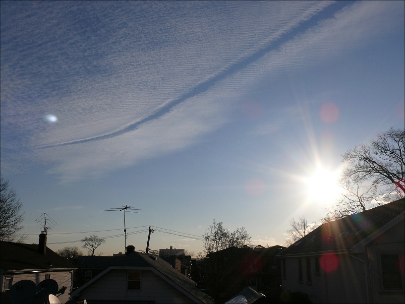 l1270607_conew1.jpg