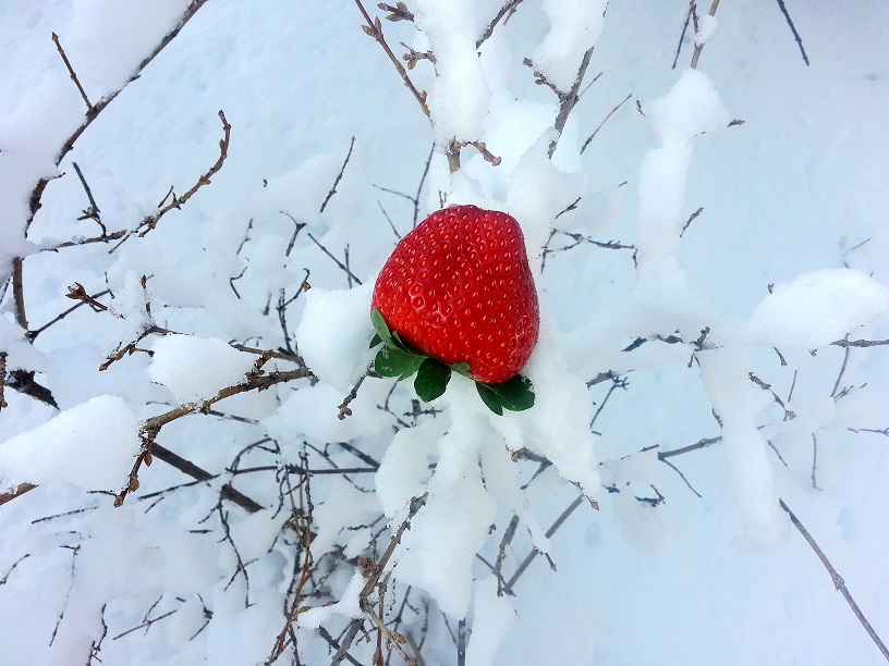 20140204_121542.jpg
