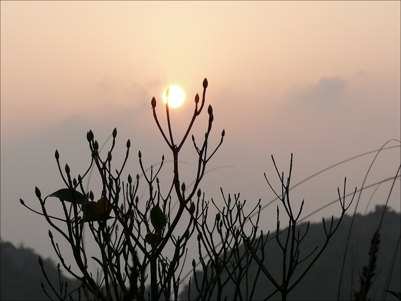 l1210241_conew1.jpg