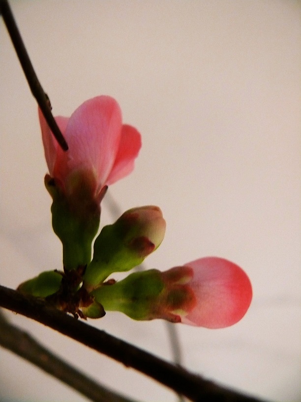 L1210938.JPG