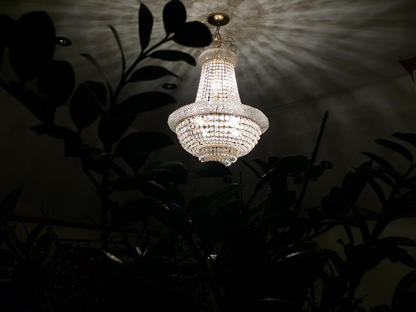 L1220153.JPG