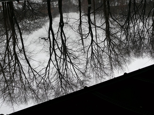 L1230863.JPG