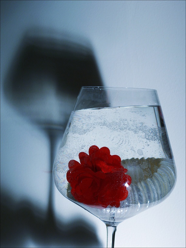 l1260333_conew1.jpg