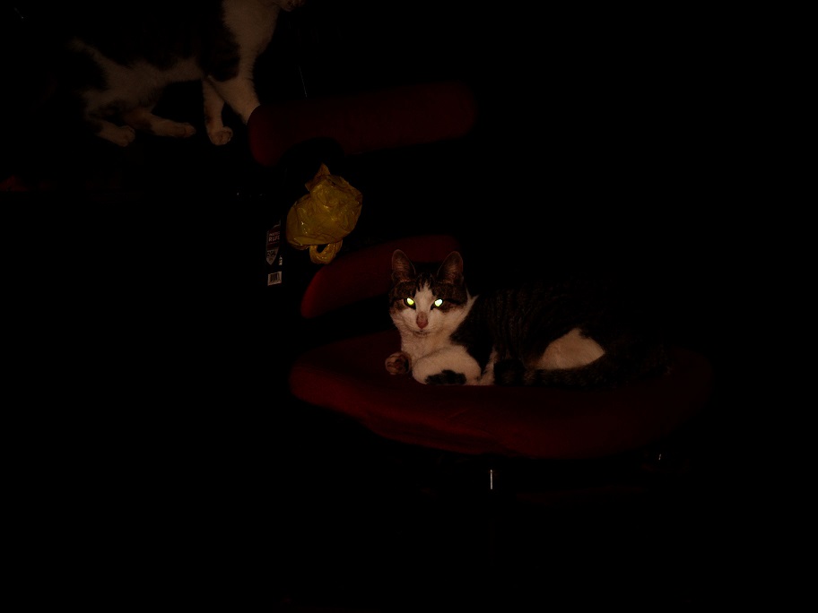 L1140754.JPG