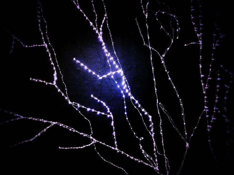 L1160098.JPG