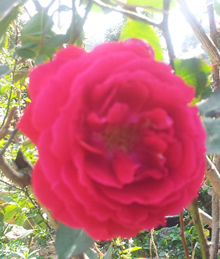 20140205_134514.jpg