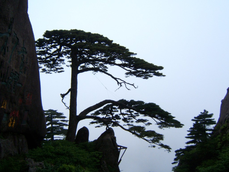 2_48530_8da7c34c6e05ceb.jpg