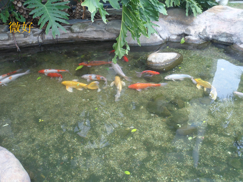 SAM_9073_.jpg