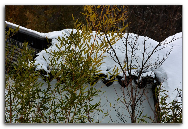 DSC_1164.jpg