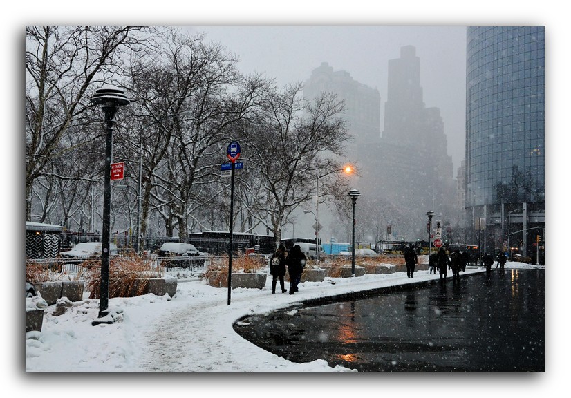 DSC_1250.jpg