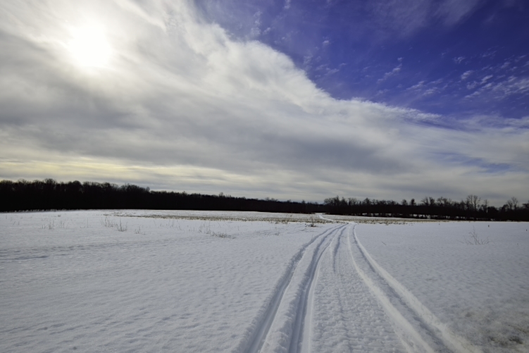 _DSC0664.JPG
