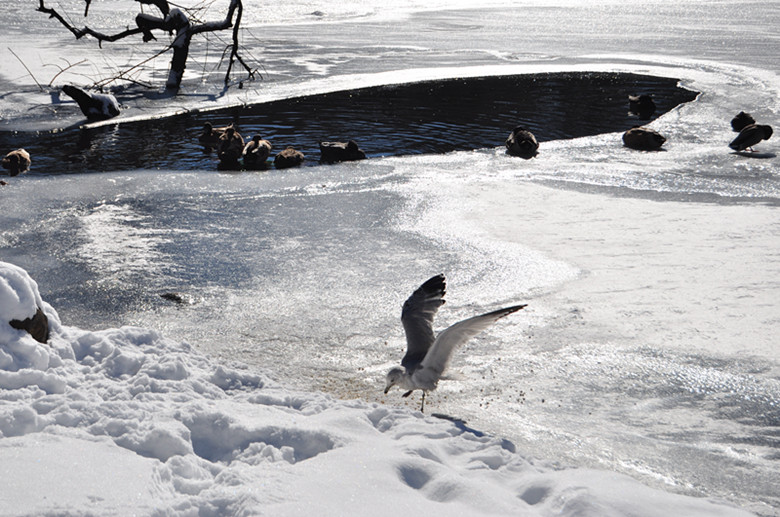 ��Ƭ 125_����.jpg