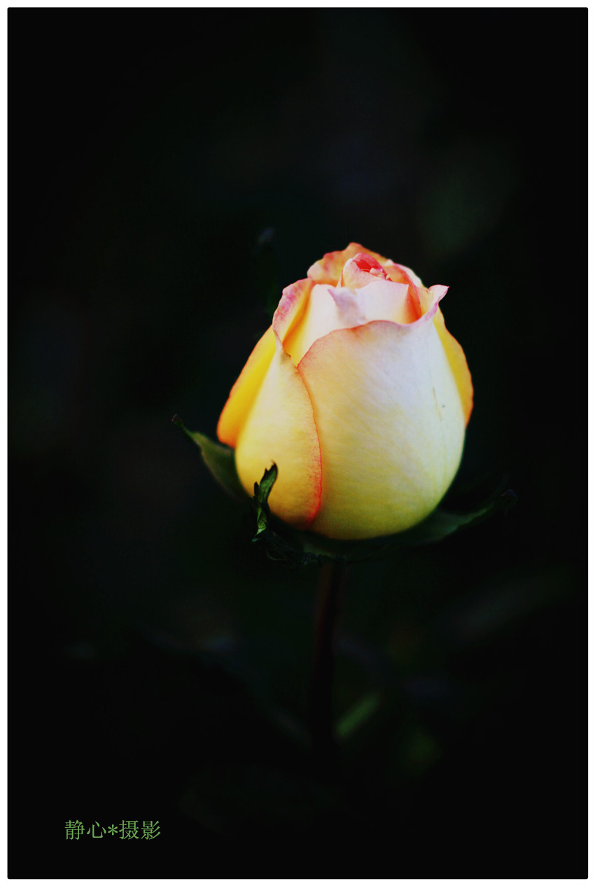 ���һ 170_����_����.jpg