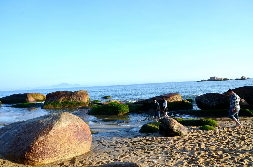 DSC_3973.jpg