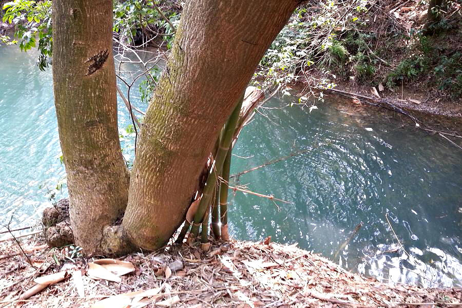 20140214_133231.jpg