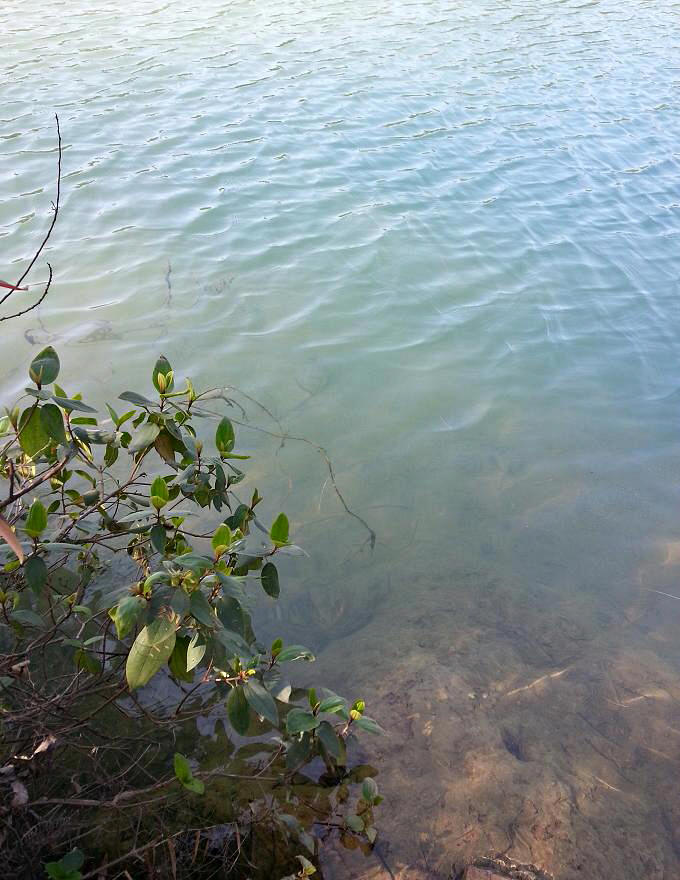 20140205_143926.jpg