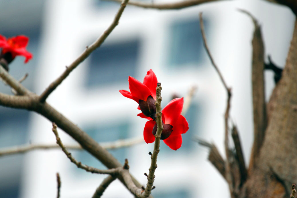 _MG_12732014--2--2.JPG