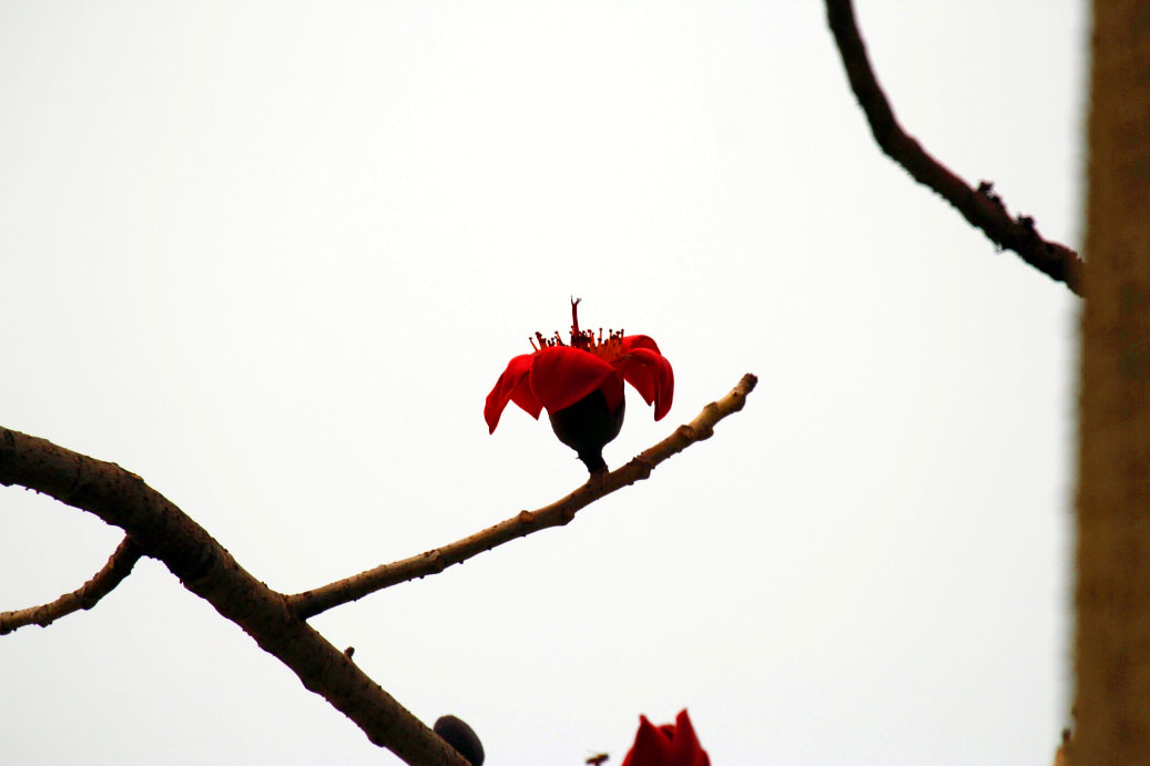 _MG_12882014--2--2.JPG