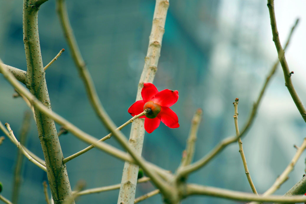 _MG_12962014--2--2.JPG