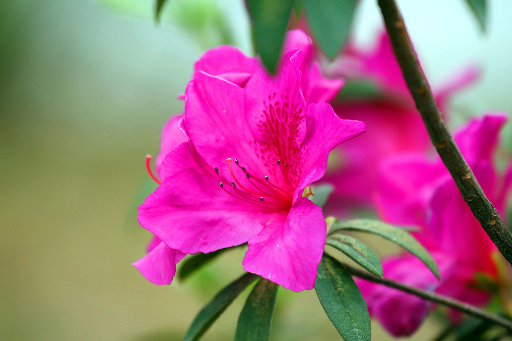 _MG_12392014--2--2.JPG
