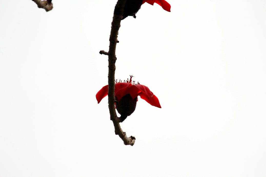 _MG_12662014--2--2.JPG