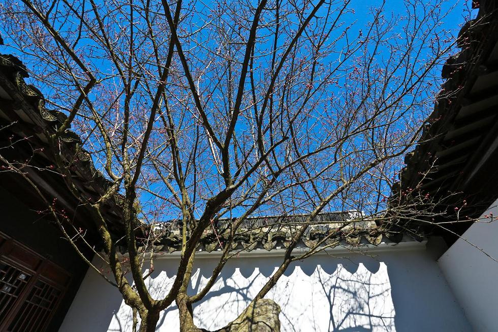 03-21-2014-�~�s 150-1.jpg