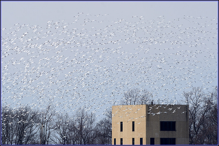 DSC_6744.jpg