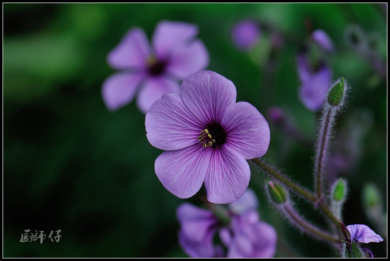 DSC_3585.jpg