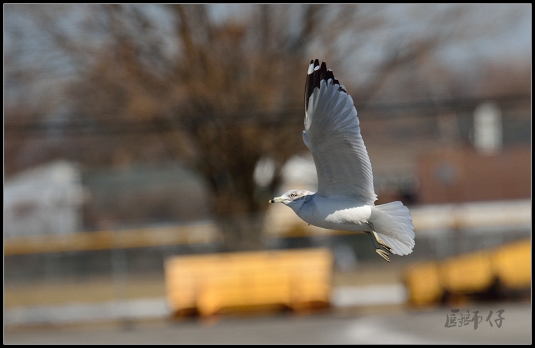 DSC_4491.jpg