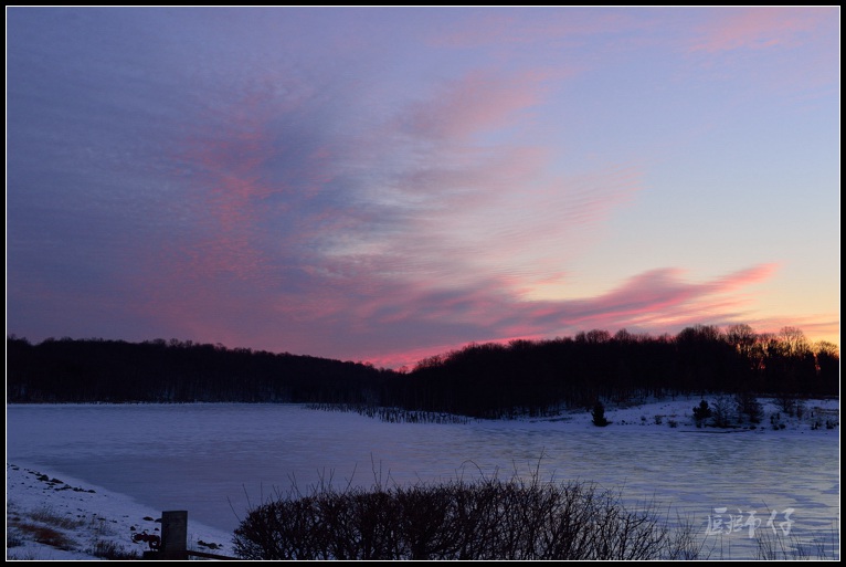 DSC_3854.jpg