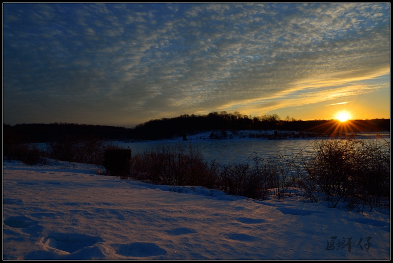 DSC_3885.jpg