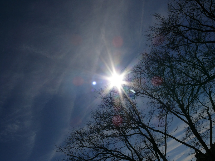 L1280986.JPG