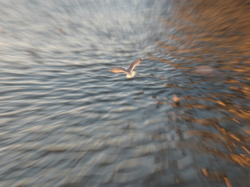 L1370271.JPG